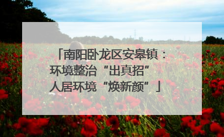 南阳卧龙区安皋镇：环境整治“出真招” 人居环境“焕新颜”