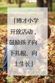 博才小学开放活动，鼓励孩子向下扎根、向上生长