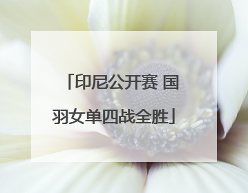 印尼公开赛 国羽女单四战全胜
