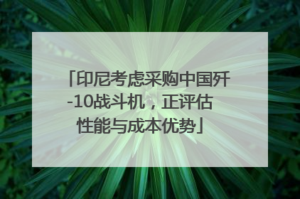 印尼考虑采购中国歼-10战斗机，正评估性能与成本优势