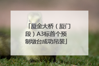厦金大桥（厦门段）A3标首个预制墩台成功吊装