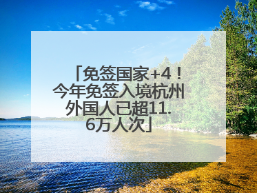 免签国家+4！今年免签入境杭州外国人已超11.6万人次