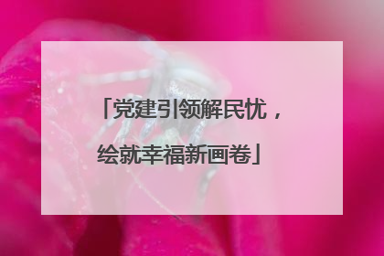 党建引领解民忧，绘就幸福新画卷