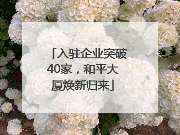 入驻企业突破40家，和平大厦焕新归来