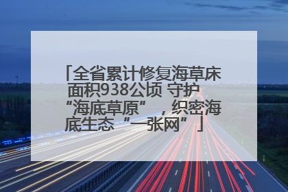全省累计修复海草床面积938公顷 守护“海底草原”，织密海底生态“一张网”