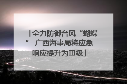 全力防御台风“蝴蝶” 广西海事局将应急响应提升为Ⅲ级