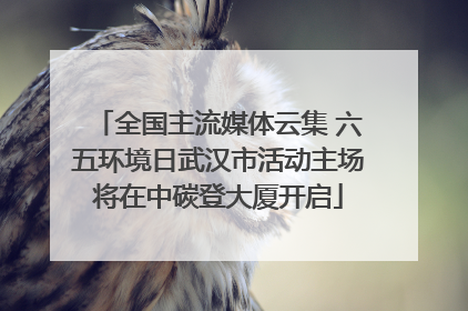 全国主流媒体云集 六五环境日武汉市活动主场将在中碳登大厦开启