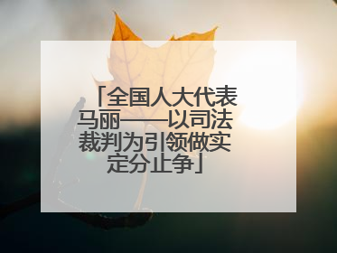 全国人大代表马丽——以司法裁判为引领做实定分止争
