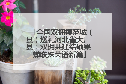 全国双拥模范城（县）巡礼河北省大厂县：双拥共建结硕果 蝉联殊荣谱新篇