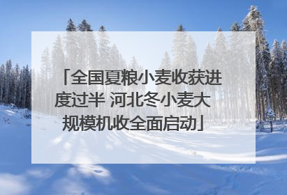 全国夏粮小麦收获进度过半 河北冬小麦大规模机收全面启动