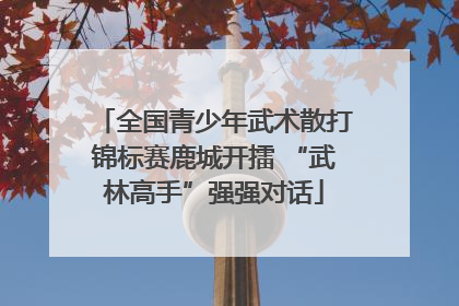 全国青少年武术散打锦标赛鹿城开擂 “武林高手”强强对话