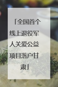 全国首个线上退役军人关爱公益项目落户甘肃