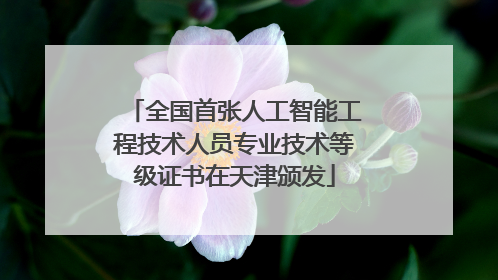 全国首张人工智能工程技术人员专业技术等级证书在天津颁发