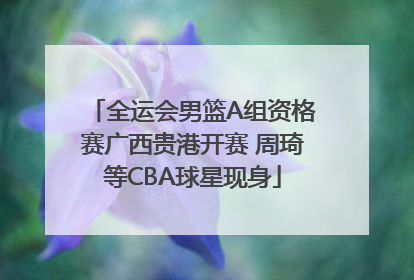 全运会男篮A组资格赛广西贵港开赛 周琦等CBA球星现身