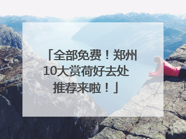 全部免费！郑州10大赏荷好去处推荐来啦！