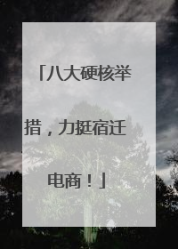 八大硬核举措，力挺宿迁电商！