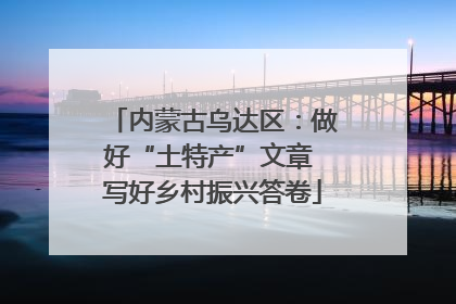 内蒙古乌达区：做好“土特产”文章 写好乡村振兴答卷