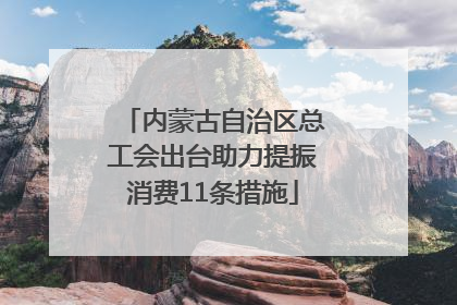 内蒙古自治区总工会出台助力提振消费11条措施