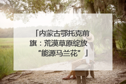 内蒙古鄂托克前旗：荒漠草原绽放“能源马兰花”