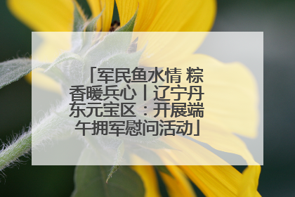 军民鱼水情 粽香暖兵心丨辽宁丹东元宝区：开展端午拥军慰问活动