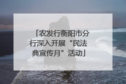 农发行衡阳市分行深入开展“民法典宣传月”活动