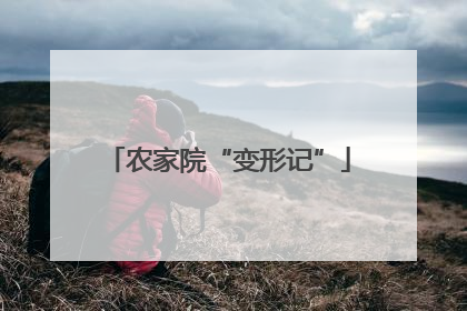 农家院“变形记”