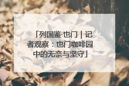 列国鉴·也门｜记者观察：也门咖啡园中的无奈与坚守