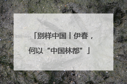 别样中国丨伊春，何以“中国林都”