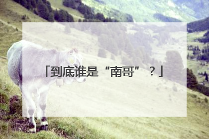 到底谁是“南哥”？