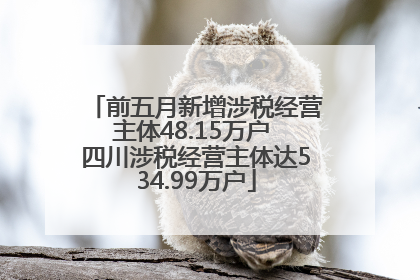 前五月新增涉税经营主体48.15万户 四川涉税经营主体达534.99万户