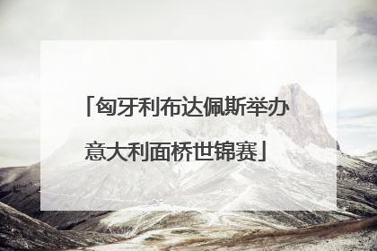 匈牙利布达佩斯举办意大利面桥世锦赛