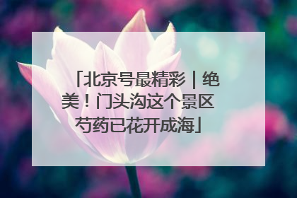 北京号最精彩｜绝美！门头沟这个景区芍药已花开成海