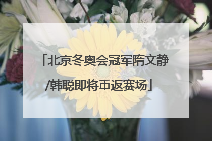 北京冬奥会冠军隋文静/韩聪即将重返赛场
