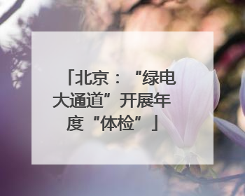 北京：“绿电大通道”开展年度“体检”