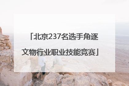 北京237名选手角逐文物行业职业技能竞赛