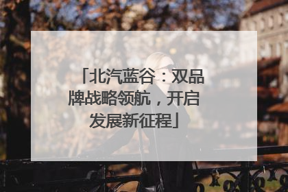 北汽蓝谷：双品牌战略领航，开启发展新征程
