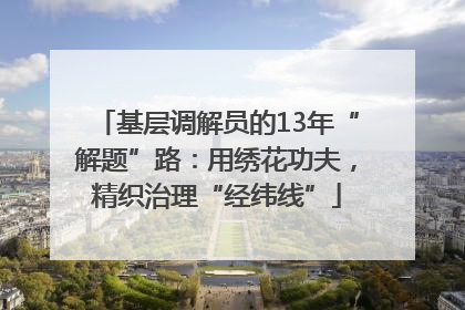 基层调解员的13年“解题”路：用绣花功夫，精织治理“经纬线”