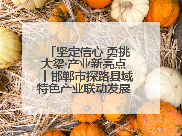 坚定信心 勇挑大梁·产业新亮点丨邯郸市探路县域特色产业联动发展：飞地，为好项目跨域安个家