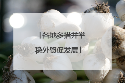各地多措并举稳外贸促发展
