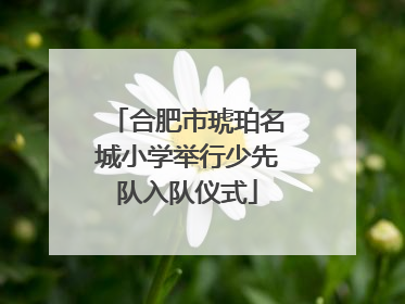 合肥市琥珀名城小学举行少先队入队仪式