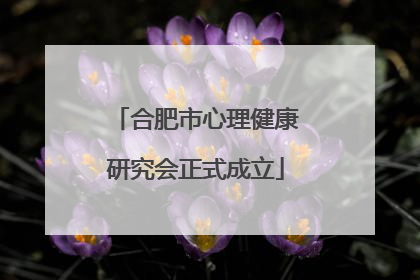 合肥市心理健康研究会正式成立