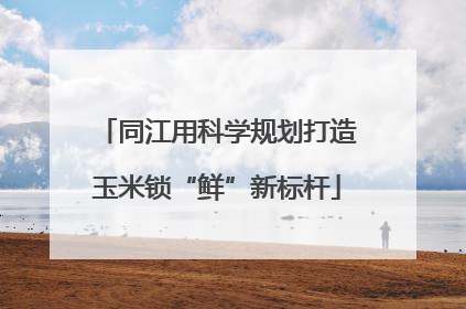 同江用科学规划打造玉米锁“鲜”新标杆