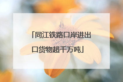 同江铁路口岸进出口货物超千万吨