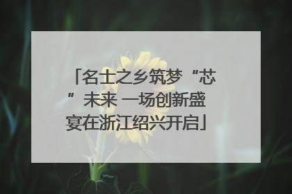 名士之乡筑梦“芯”未来 一场创新盛宴在浙江绍兴开启
