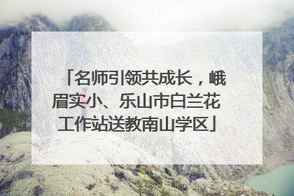 名师引领共成长，峨眉实小、乐山市白兰花工作站送教南山学区
