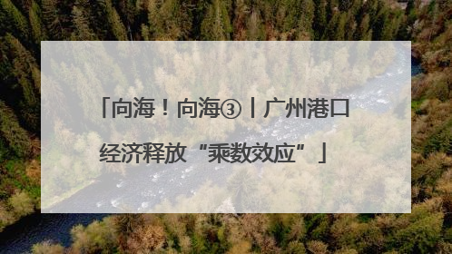 向海！向海③丨广州港口经济释放“乘数效应”