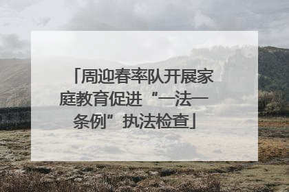 周迎春率队开展家庭教育促进“一法一条例”执法检查