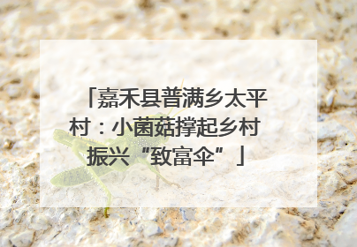 嘉禾县普满乡太平村：小菌菇撑起乡村振兴“致富伞”