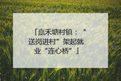 嘉禾塘村镇：“送岗进村”架起就业“连心桥”