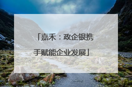 嘉禾：政企银携手赋能企业发展